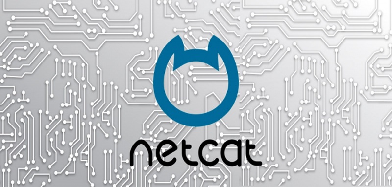 Обзор возможностей CMS NetCat — плюсы и минусы инновационного движка для интернет-магазина